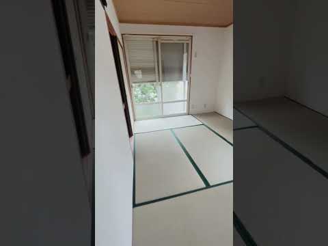 4万円台の3DK☘️#ルームツアー #賃貸物件 #賃貸マンション #賃貸 #お部屋探し #不動産仲介 #初期費用 #3dk #激安物件