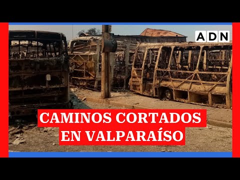 Incendios Forestales en la región de Valparaíso: Caminos cortados y riesgo de explosión