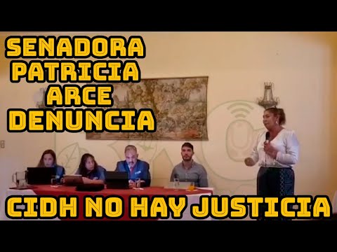 SENADORA PATRICIA ARCE DENUNCIA ANTE RELATOR CIDH QUE MINISTRO JUSTICIA SOLO SE DEDICA PERSEGUIR