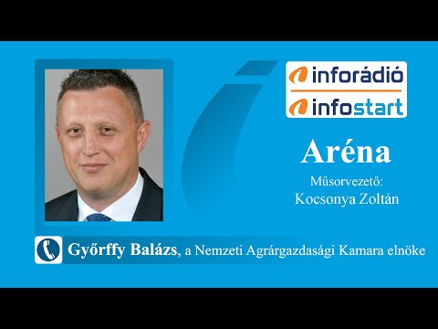 InfoRádió - Aréna - Győrffy Balázs - 1. rész - 2020.04.24.