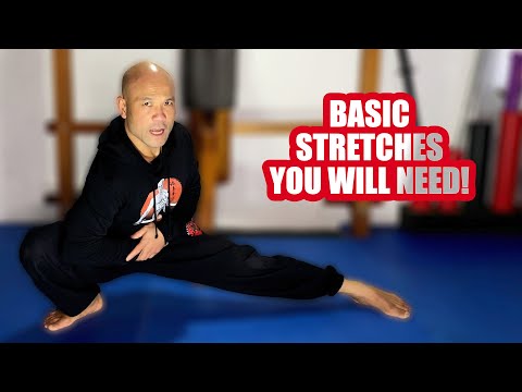 Basic Martial art stretches you will need