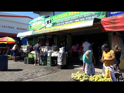 Sube el precio del queso seco en Managua