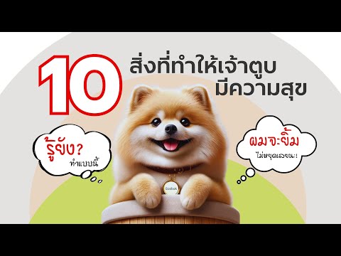 10สิ่งทีทำให้เจ้าตูบมีความสุข