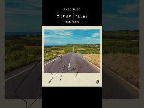 New Release!! 2026/04/30
