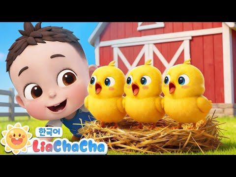 병아리를 돌봐요 | 삐약삐약 병아리🐤 | 동물동요 | 동요모음 | 인기동요 | 리아차차 LiaChaCha