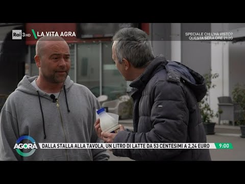 Latte a perdere - Agorà 07/02/2024