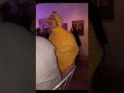 Chicken in a bar