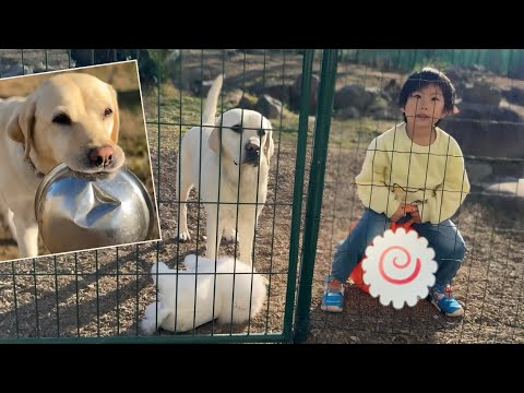 なんだかんだいっていつの間にか3人が同じ場所に集まっている仲良しちゃん