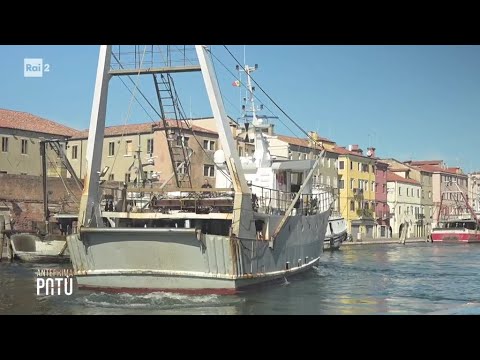 Crisi ittica: mare svuotato e caro-gasolio -Patù, la passione delle idee 14/10/2026