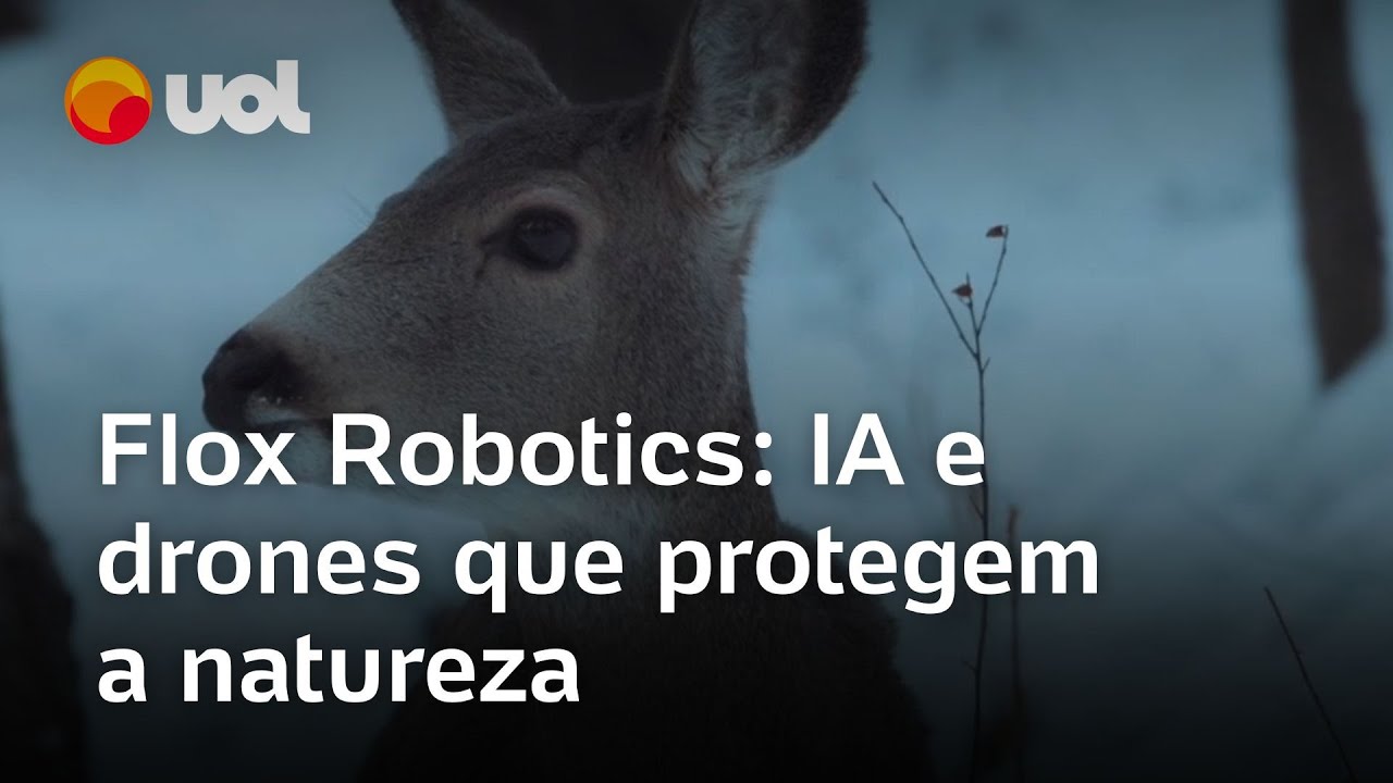 Tecnologia protege animais que vivem perto de aeroportos e linhas férreas | O Impensável