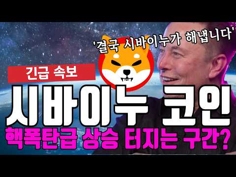 시바이누 코인 핵폭탄급 상승 지금 <strong>준비</strong> 하세요