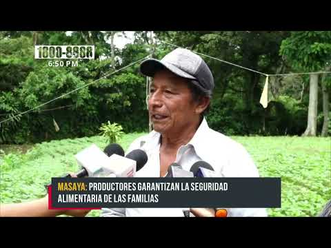 Buen invierno para la producción y la agricultura en Masaya - Nicaragua