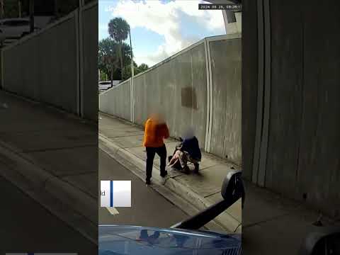 Carjacker leaves victim's toddler on pavement