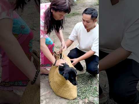 Sao Chóa Vàng Thành Chóa Đen Vậy? #shorts #trending #haihuoc