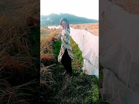 chudi# love u love# u bola tha#