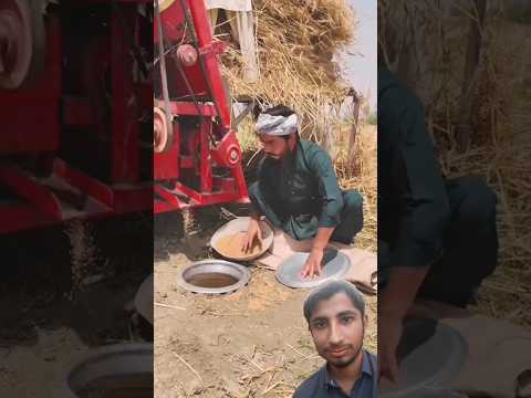 Zameen Mein Daig Chupa K Gandum 🌾 Chori Q Ki 😱 #khizaromer