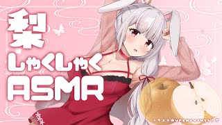 【ASMR】甘い梨とカリカリポテチを君にあーん♡ドキドキおやつタイム🐰💛【丸餅つきみ/Re:AcT】