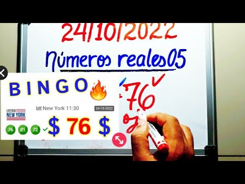 BINGO  76  PREMIO MAYOR lotería NEW YORK de HOY/GANAR las LOTERÍAS/NÚMERO GANADORES de HOY/SORTEOS