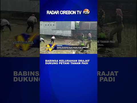 Babinsa Kelurahan Drajat Dukung Petani Tanam Padi