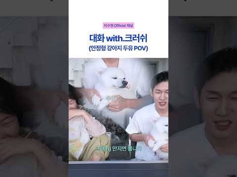 꾸꾸식 <strong>진행</strong> 속 안정형 강아지 두유🤍
