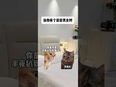 猫の動画サムネイル - 当你有个瑟瑟男友时#有趣 #猫meme #猫meme剧场 #猫meme小剧场 #内容过于真实  #故事 #貓 #猫猫meme小剧场 #喵不可言