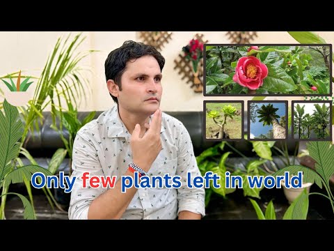Rarest plants in the world that extinct in willd🌏 दुनिया के 45 दुर्लभ पौधे 🗺️ #ExtinctInTheWild
