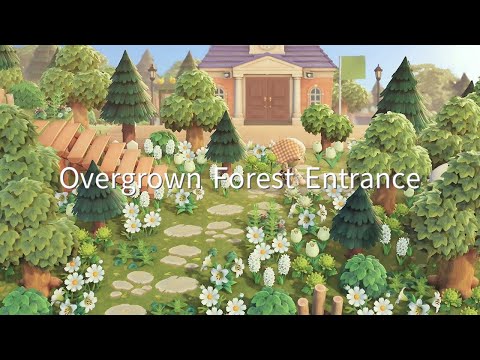 【あつ森】緑生い茂る自然島 エントランスから案内所 | Entrance | Animal Crossing New Horizons