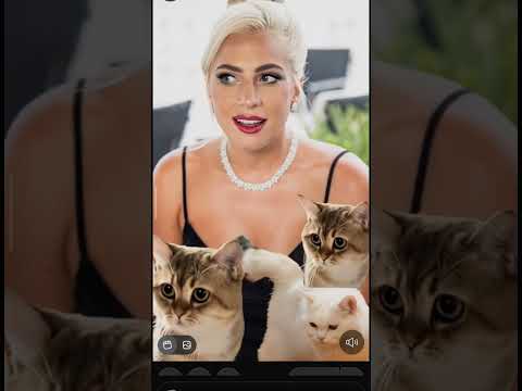 Lady Gaga & cats #fashion #song #viral #cat #live #hollywood #memes #cats #movie #wow #singer #hits
