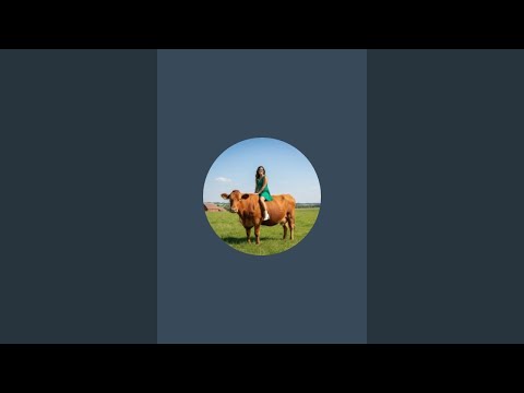 Canada Tamil sender direkte!