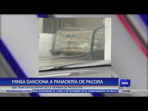 MINSA sanciona a panadería de Condado Real en Pacora