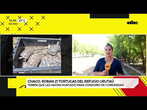 Roban 21 tortugas del Refugio Urutaú