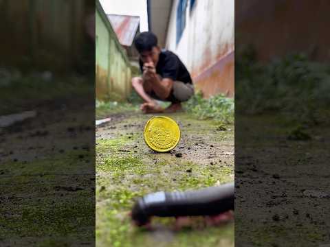 Wake up, come on pill millipedes let's show our best dance, wake up now#shortvideo#millipedes