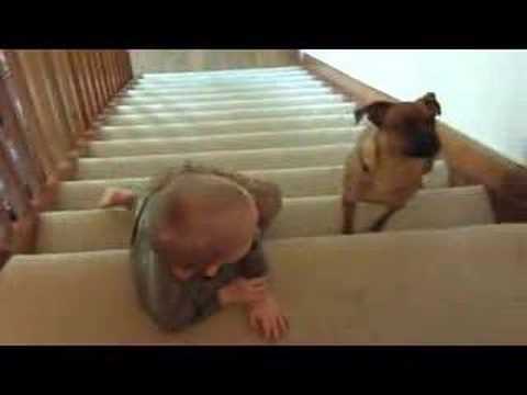 Baby Stair Slider-The New Olympic Sport