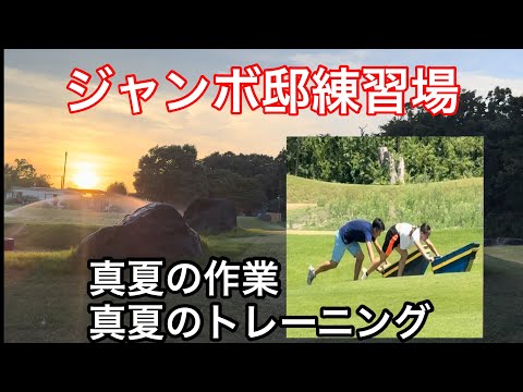 【今週のジャンボ邸】真夏の作業  ジャンボ尾崎ゴルフアカデミー⛳️ジャンボ邸散歩