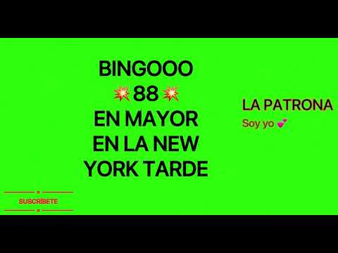 BINGOOO 88 EN MAYOR EN LA NEW YORK TARDE ( LA PATRONA SOY YO )