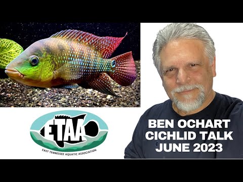 ETAA June 2023 Meeting with Ben Ochart East Tennes Thank you for joining the ETAA June 2023 Meeting with Ben Ochart at the East Tennessee Aquatics Asso