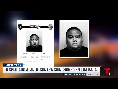 Masacre en Toa Baja: sicarios buscaban a presunto narco llamado Maco