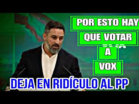 LA LABOR JUDICIAL DE VOX DEJA RETRATADO AL PP, TODAS LAS CAUSAS EN LA QUE ESTÁ VOX, EL PP EN NINGUNA