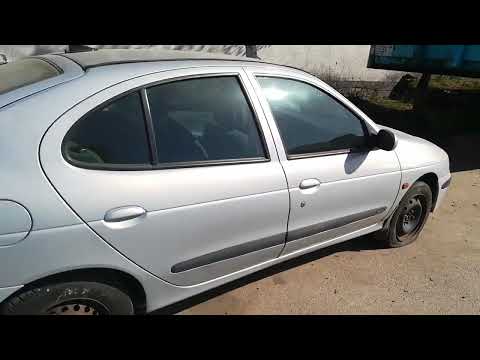 Renault Megane 2001 m dalys