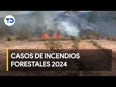 Registran tercer caso de incendio forestal en 2024