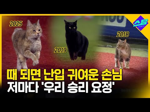 세상 귀여운 난입! 저마다 우리팀 승리 요정!!