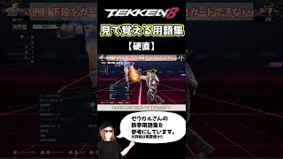 【鉄拳8】見て覚える用語集【特殊中段】