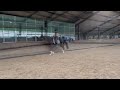 Dressage horse (Video) Elite Sport merrie