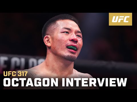 Joshua Van Octagon Interview | UFC 317