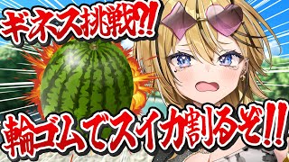 【 カメラあり 】夏最後にでかい花火見せてやんよ！！！輪ゴムスイカ爆弾だあああ！！！！！！！！！ 【成海ミャオ / #ミクスト】