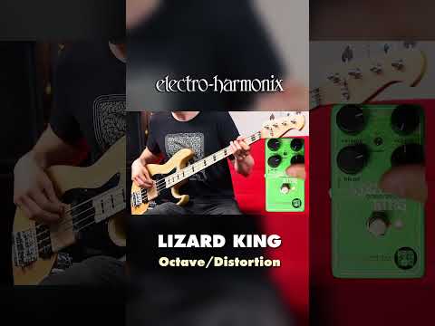 EHX Lizard King Bass Octave Fuzz Pedal Demo