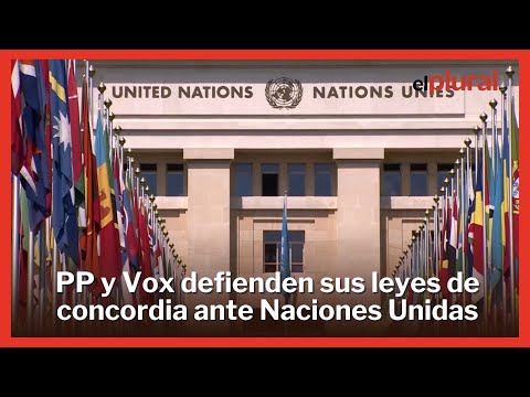 PP y Vox defienden sus leyes de concordia ante la ONU