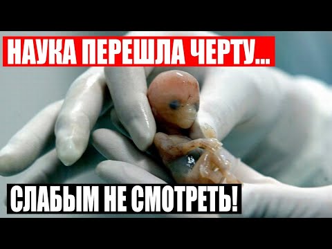 
ЧТО ЭТО ЗА ТВАРЬ!!