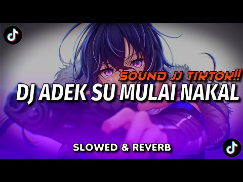 DJ ADEK SU MULAI NAKAL SLOWED & REVERB SOUND VIRAL TIKTOK!!! /
