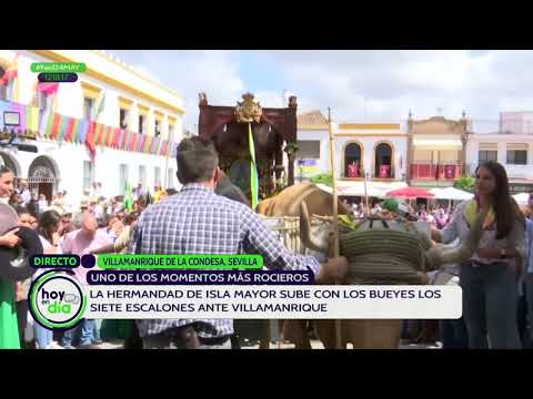 Hoy en día | La rociera 'subida de los bueyes' por los 7 escalones en Villamanrique de la Condesa